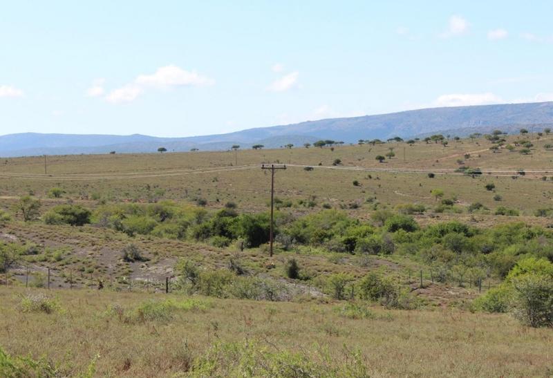 4 Bedroom Property for Sale in Grahamstown Eastern Cape
